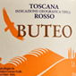 Buteo