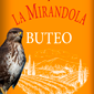 Buteo