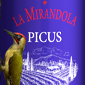Picus